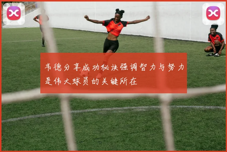 韦德分享成功秘诀强调智力与努力是伟大球员的关键所在