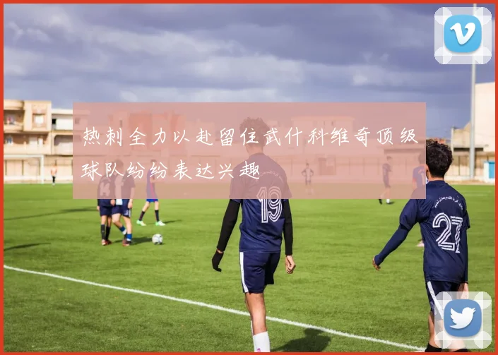 热刺全力以赴留住武什科维奇顶级球队纷纷表达兴趣