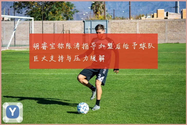 胡睿宝称陈涛指导加盟后给予球队巨大支持与压力缓解